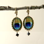 Proud As A Peacock Oval Earrings